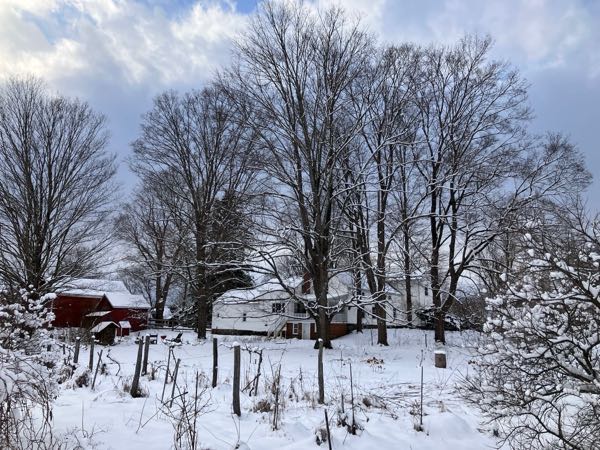 Berry Patch & Firefly Walk — Winter