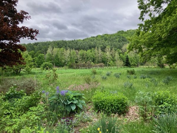 Berry Patch & Firefly Walk