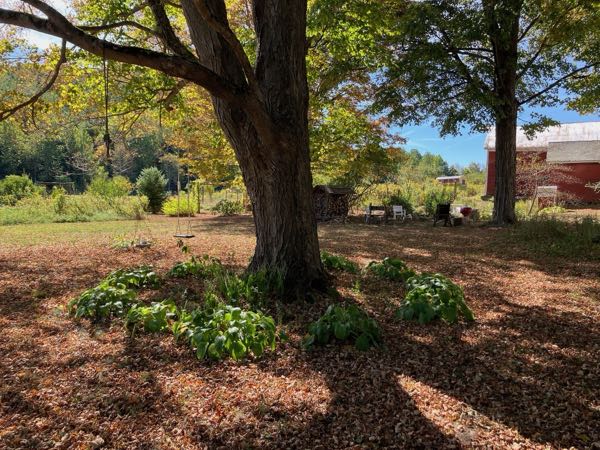 Fireside Seating — Autumn