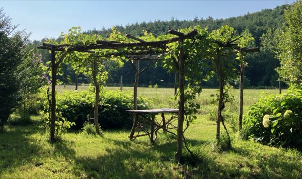 Grape Arbor