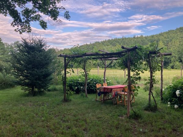 Grape Arbor