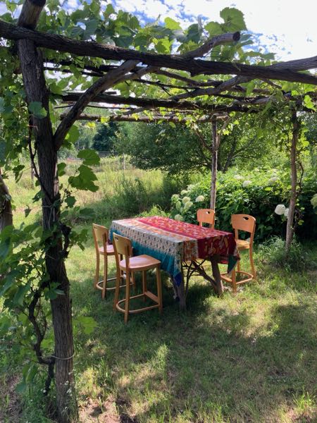 Grape Arbor