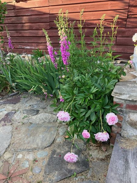 Green Room Garden