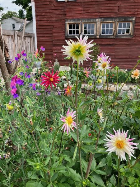 Green Room Garden