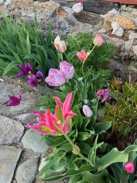 Green Room Garden