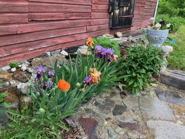 Green Room Garden