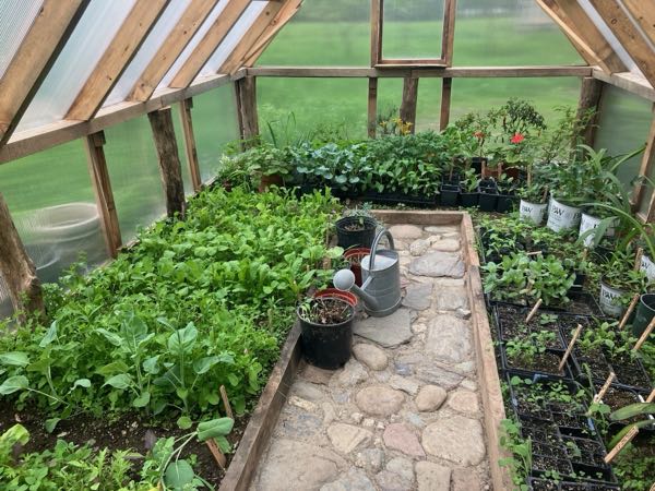 Orchard & Greenhouse