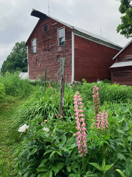 Orchard & Greenhouse