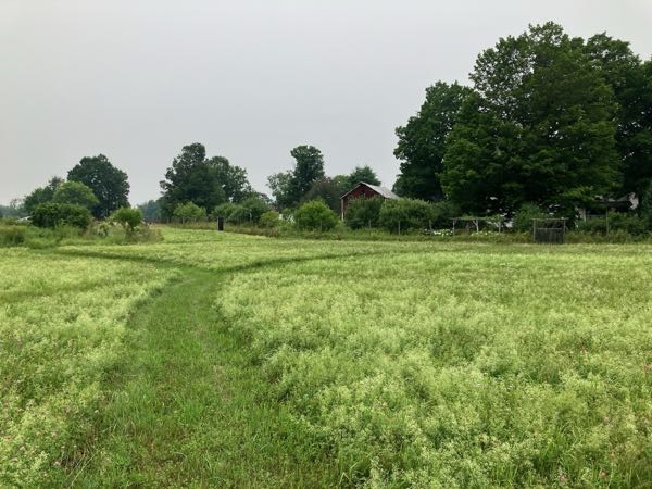 Hayfield & Walking Paths