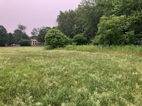 Hayfield & Walking Paths