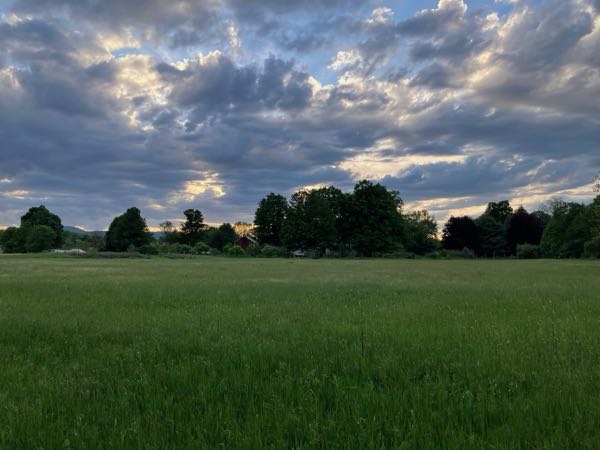 Hayfield & Walking Paths
