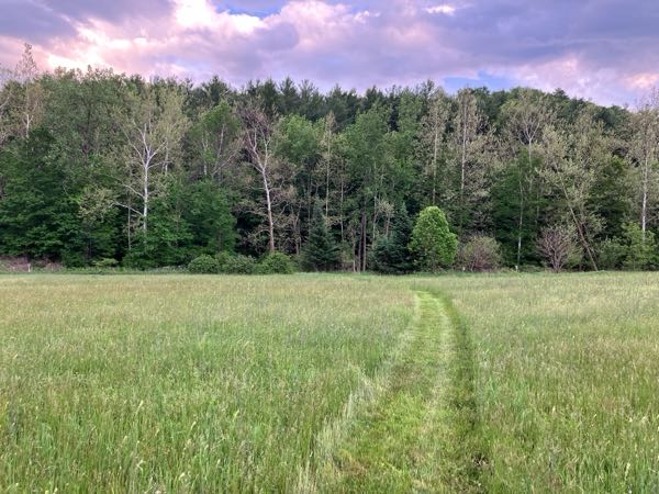 Hayfield & Walking Paths