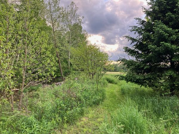 Hayfield & Walking Paths