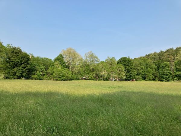 Hayfield & Walking Paths