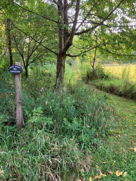 Hedgerow