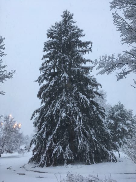 The Horseshoe — Winter