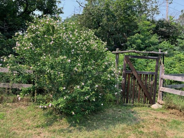 Perimeter Fence & Gates