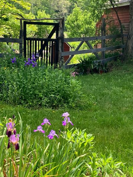 Perimeter Fence & Gates