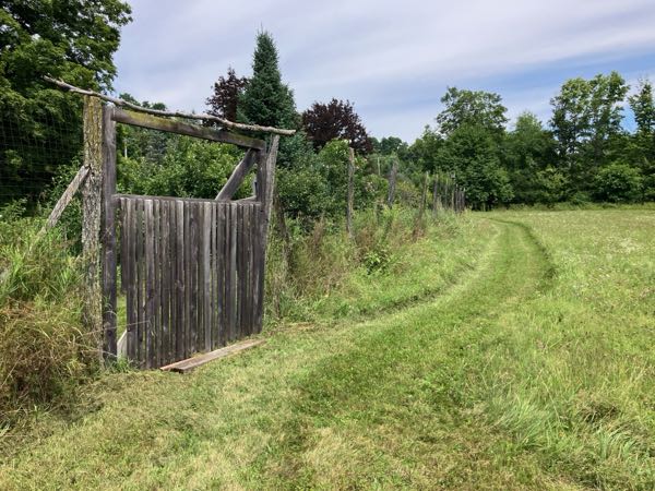Perimeter Fence & Gates