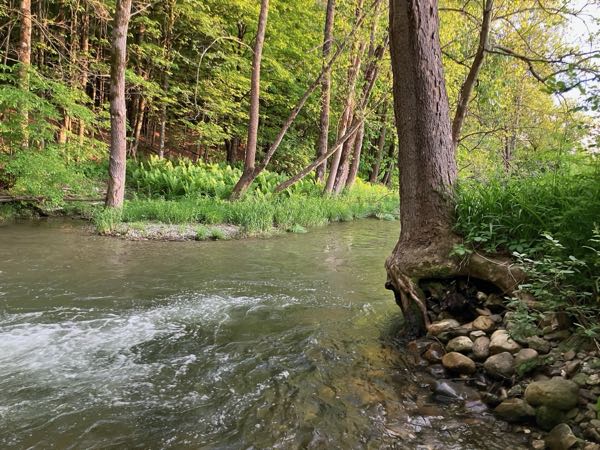 Swimming Hole — Spring