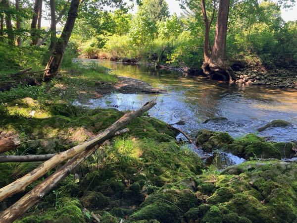 Swimming Hole