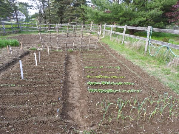 Vegetable Gardens — Spring