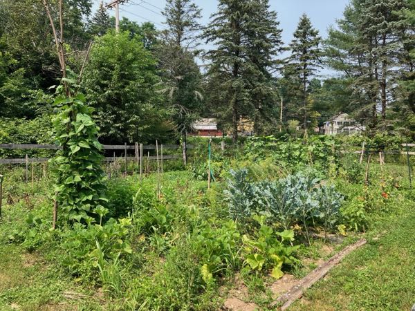 Vegetable Gardens