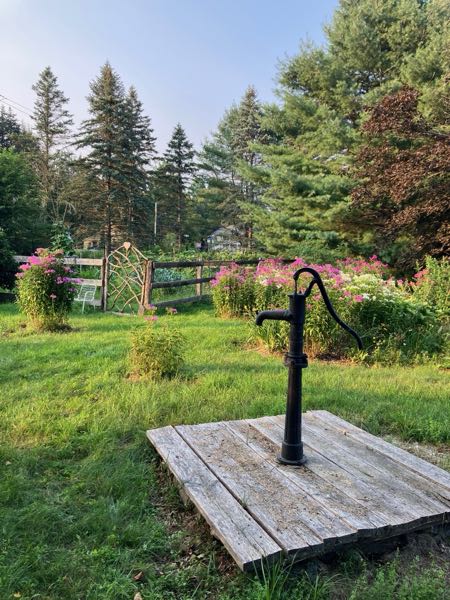 Vegetable Gardens